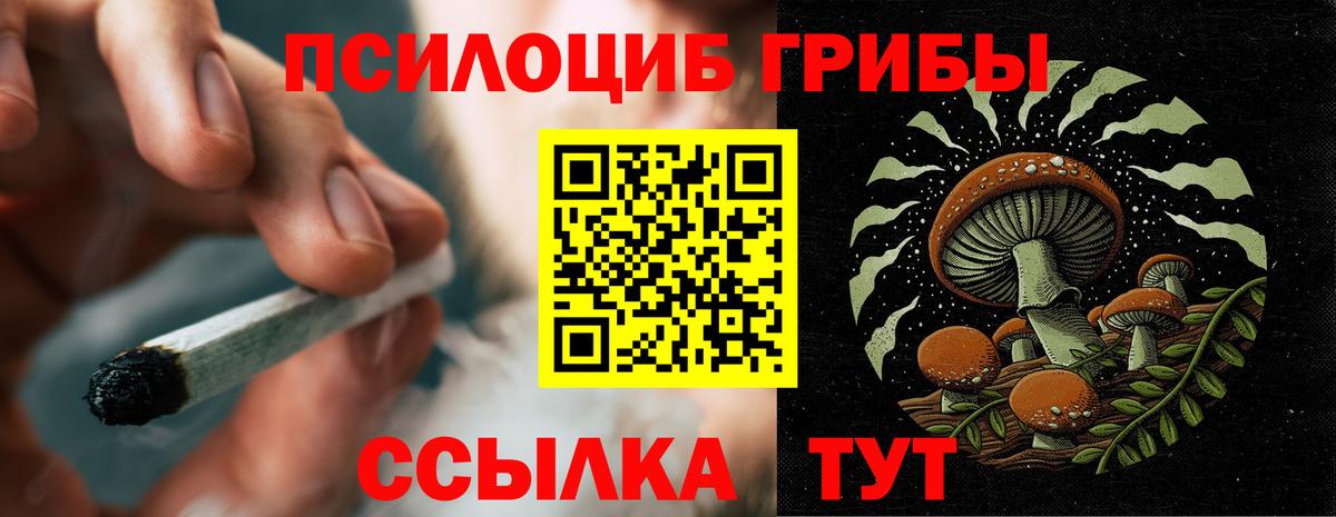 Галлюциногенные грибы Psilocybine cubensis Сосновый Бор