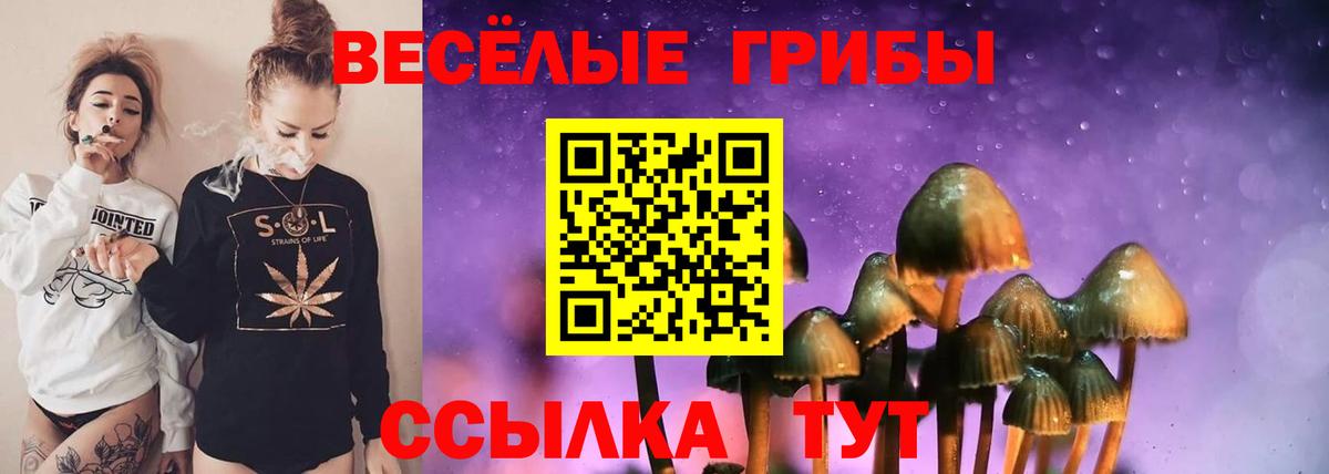 Псилоцибиновые грибы Magic Shrooms  Вход с VPN  Сосновый Бор 